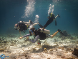 Diving in perhentian islands